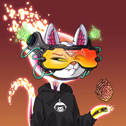 Marsaliencats