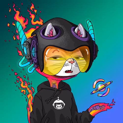Marsaliencats