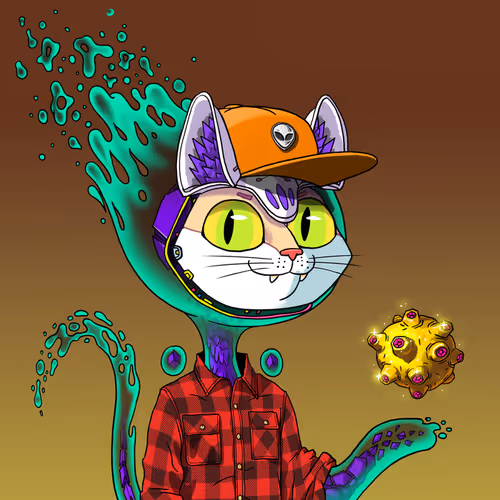 Marsaliencats