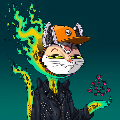 Marsaliencats