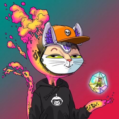 Marsaliencats