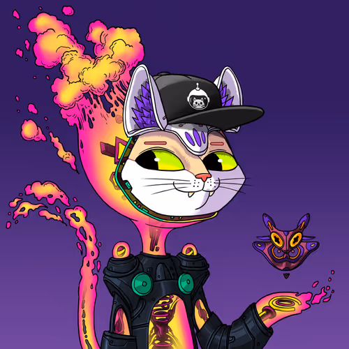 Marsaliencats