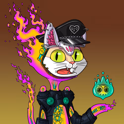Marsaliencats