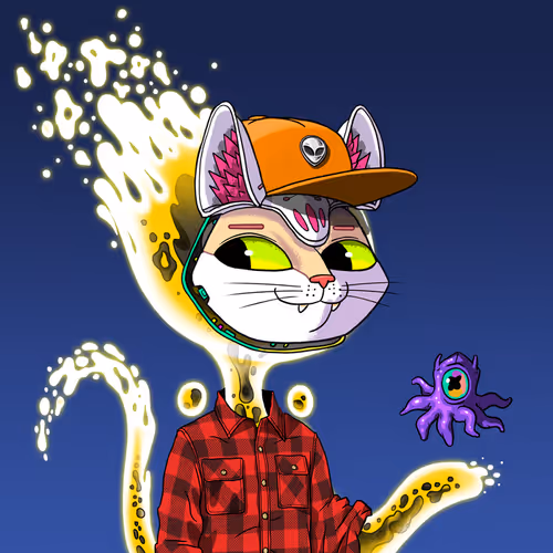 Marsaliencats