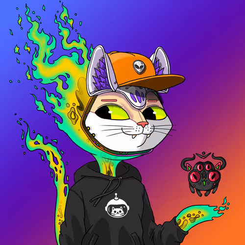 Marsaliencats