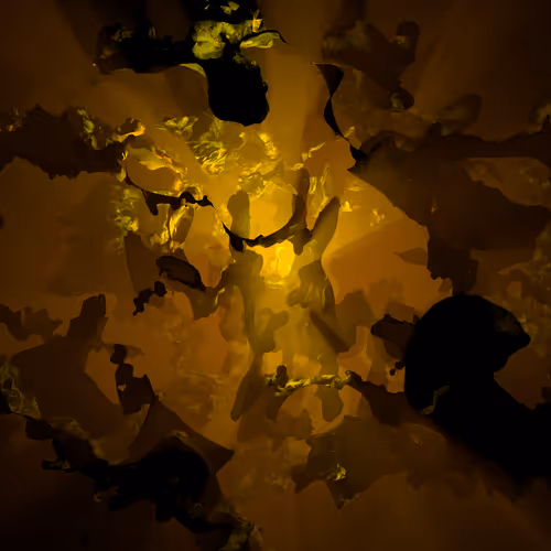 Item #8520038953287439433536834341059117372268365319568716555346026339118809853365 Media