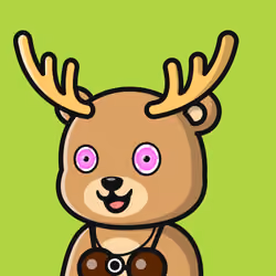 Summer Bear #2104