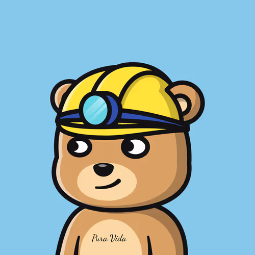 Summer Bear #7996