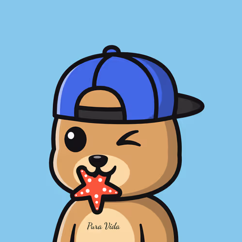 Summer Bear #6984