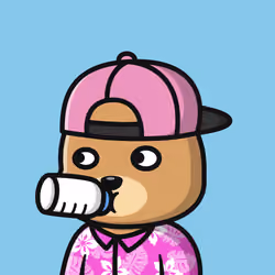 Summer Bear #893