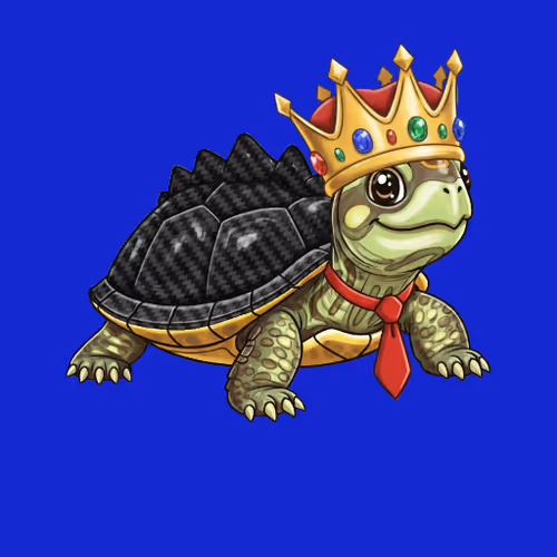 Winky The Turtle By A R C Nfts