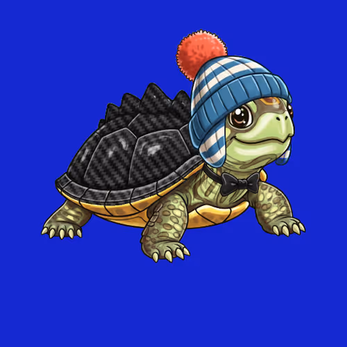 Winky The Turtle By A R C Nfts