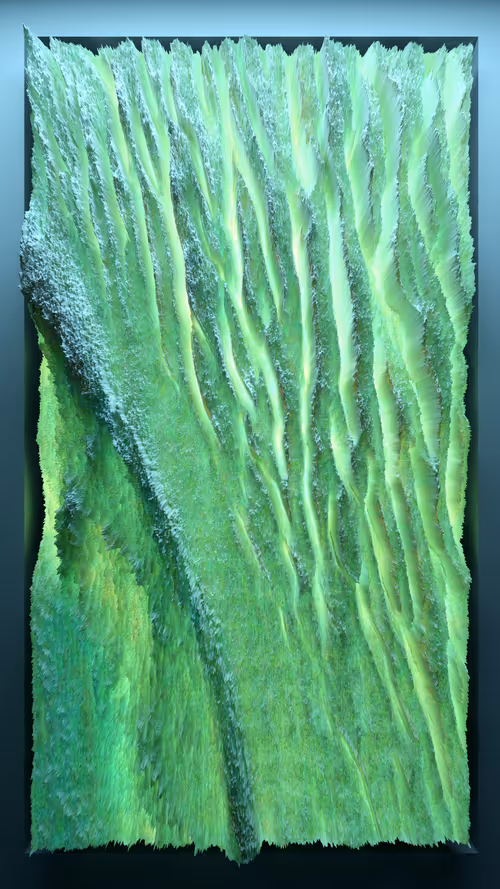 Item #47300100010 Media