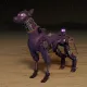 2172
