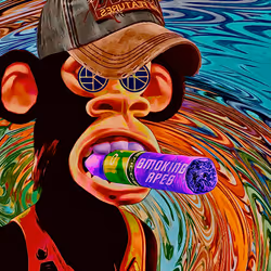 Monkey