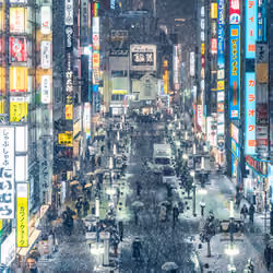 Tokyo Snow Harmony