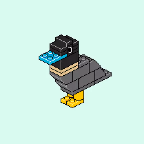 Block Flock #430