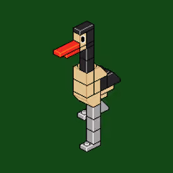Block Flock #1777