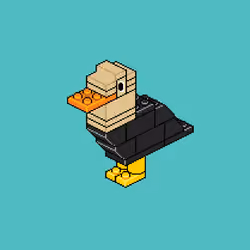 Block Flock #566
