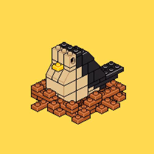 Block Flock