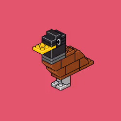 Block Flock #259
