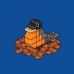 Block Flock #3637