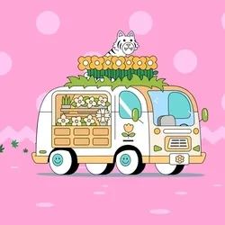 Van #5211