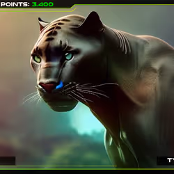 Pi Protocol - Panther