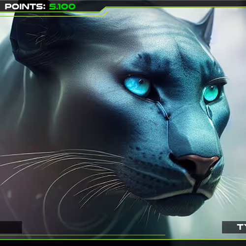 Pi Panther