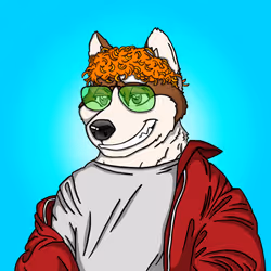 507