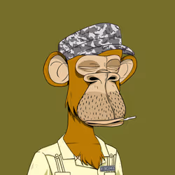 The Last of Apes #175