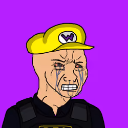 566