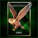 Pet: Owl (Uncommon) #505