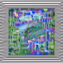 #245