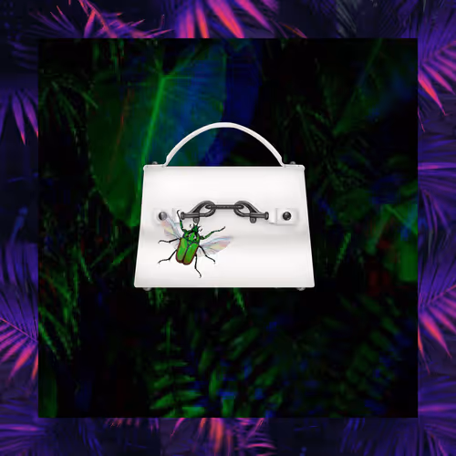 Mavionworld X Rebecca Minkoff