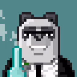 SLUMBEAR2449
