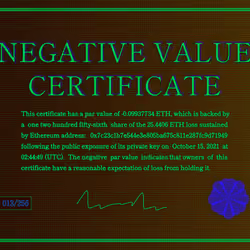 Negative Value Certificate #13 of 256