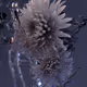 2600020012