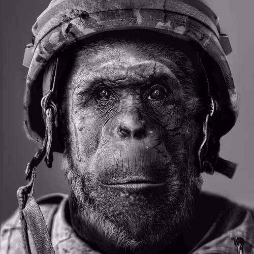 The CdrKing CC0 Collection