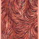 224