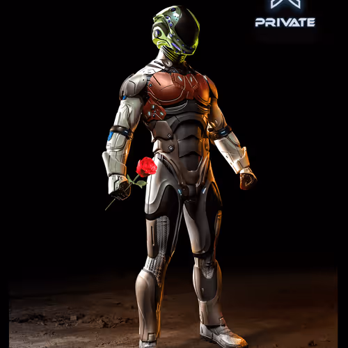 The Soldiers Of The Metaverse