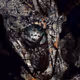 HELLIONZ