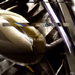 Entropyseed #2147
