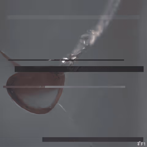 Entropyseed #2483