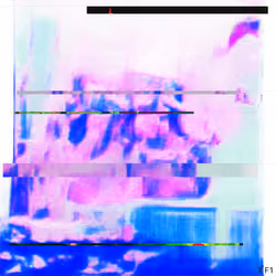 Entropyseed #69