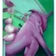 Entropyseed #1713 Ultra-rare