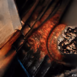 Entropyseed #2534