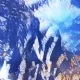 Entropyseed #2321 Ultra-rare