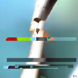 Entropyseed #1246