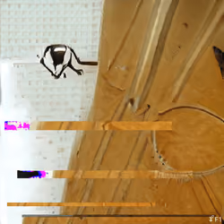 Entropyseed #2574